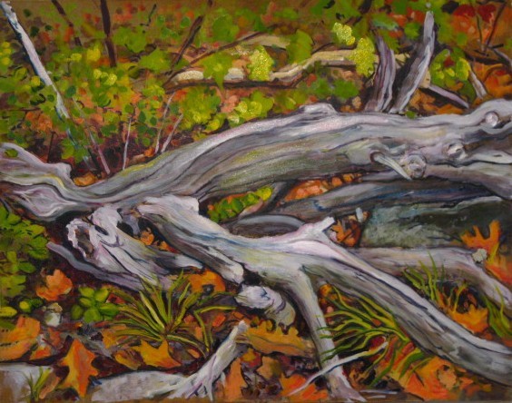 Larry Johnson artist, nature painting, landscape