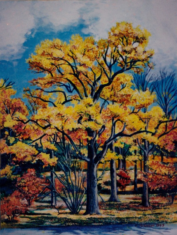 Larry Johnson artist, nature painting, landscape