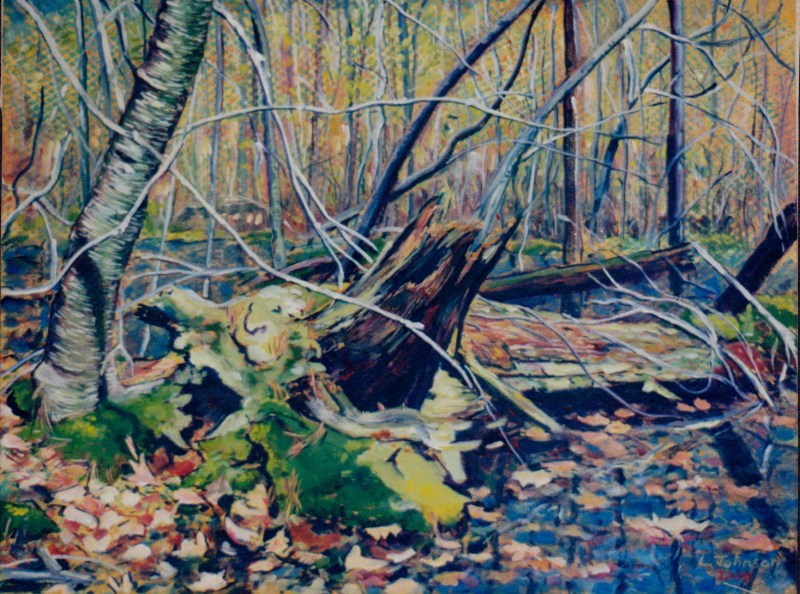 Larry Johnson artist, nature painting, landscape