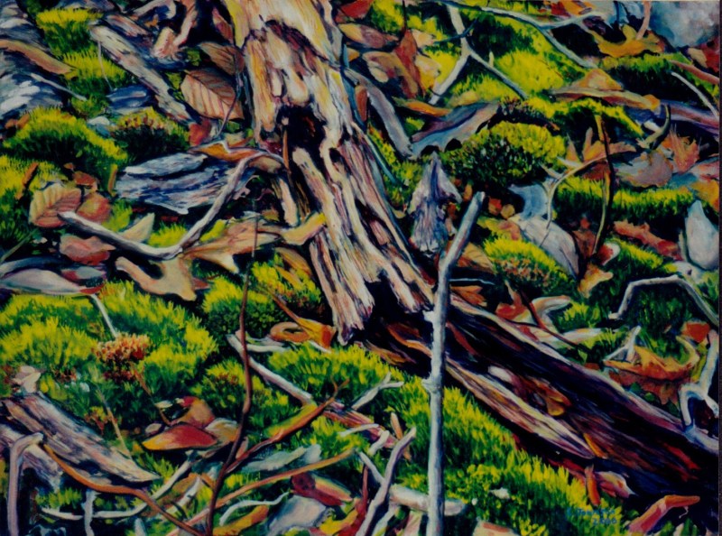 Larry Johnson artist, nature painting, landscape