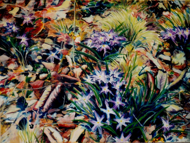 Larry Johnson artist, nature painting, landscape