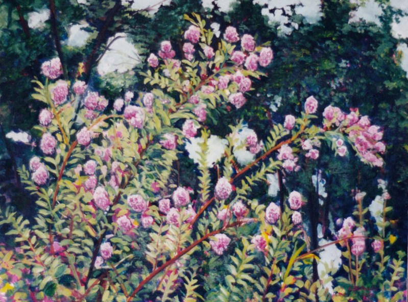 Larry Johnson artist, nature painting, landscape