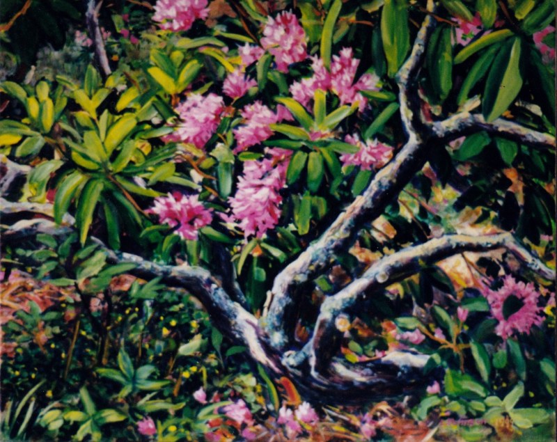 Larry Johnson artist, nature painting, landscape