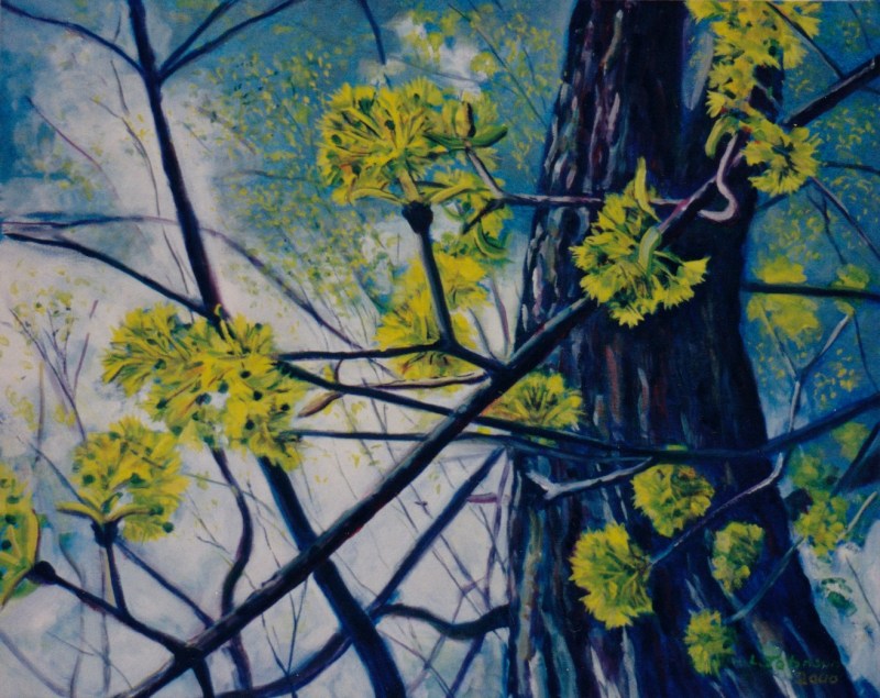 Larry Johnson artist, nature painting, landscape