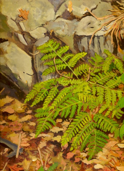 Larry Johnson artist, nature paintings, landscapes