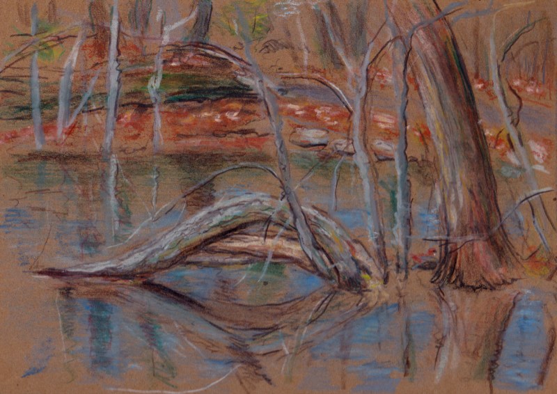 Larry Johnson artist, landscape drawing, stony brook reservation, oil pastel, colored pencil