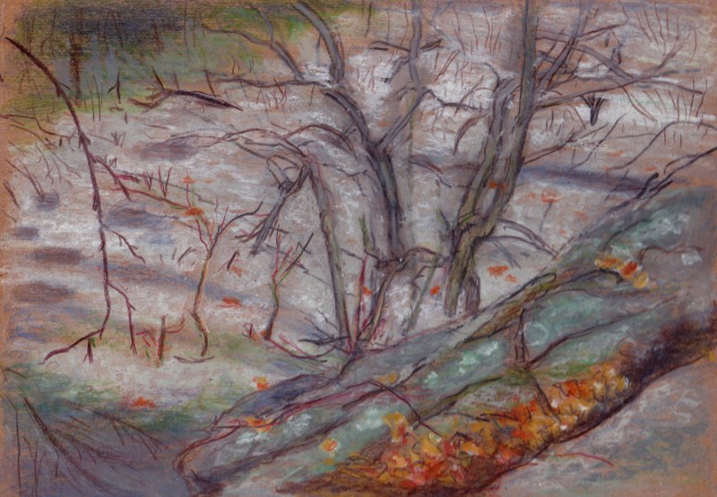 Larry Johnson artist, landscape drawing, stony brook reservation, oil pastel, colored pencil