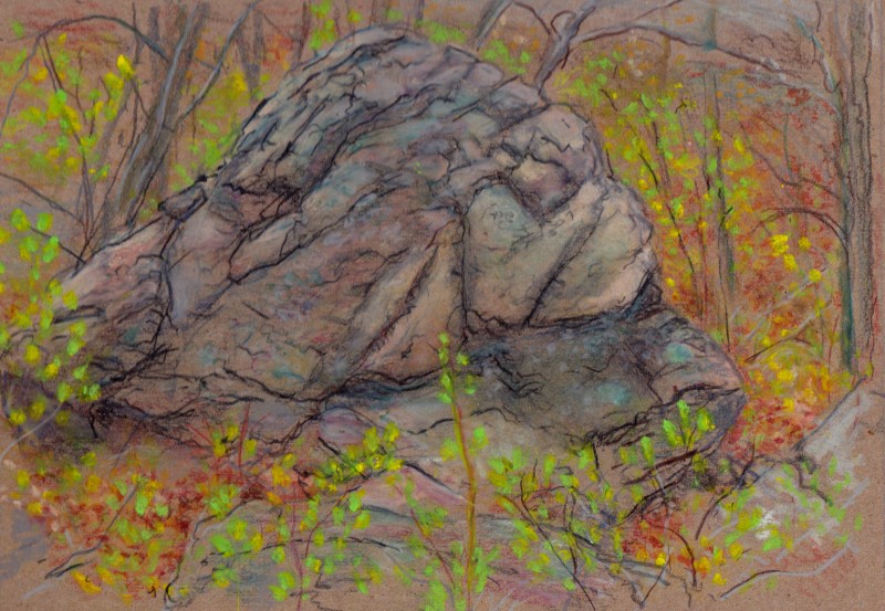 Larry Johnson artist, landscape drawing, stony brook reservation, oil pastel, colored pencil