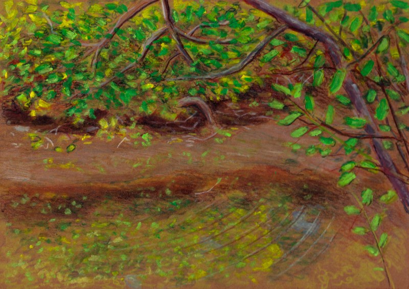 Larry Johnson artist, landscape drawing,neponset river, oil pastel, colored pencil