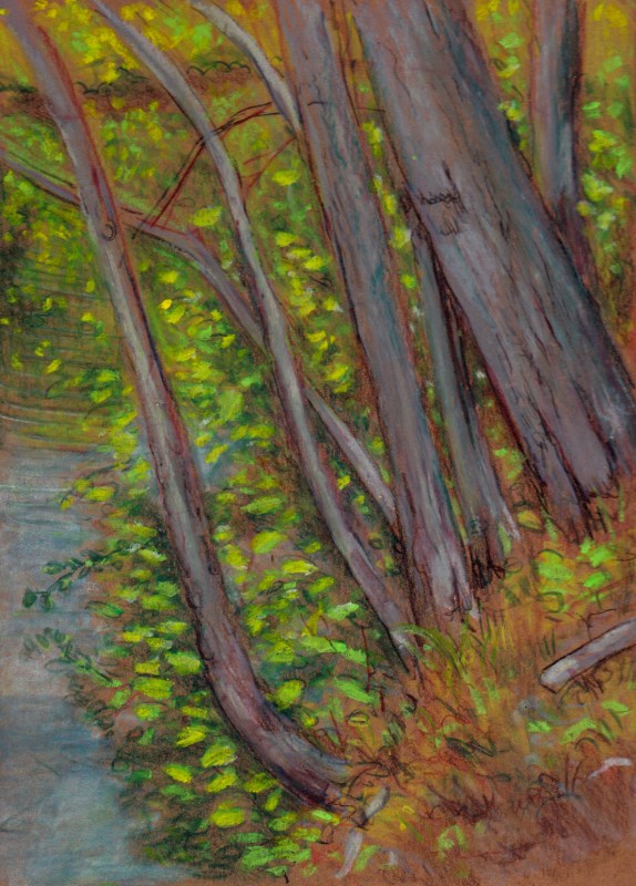 Larry Johnson artist, landscape drawing,neponset river, oil pastel, colored pencil