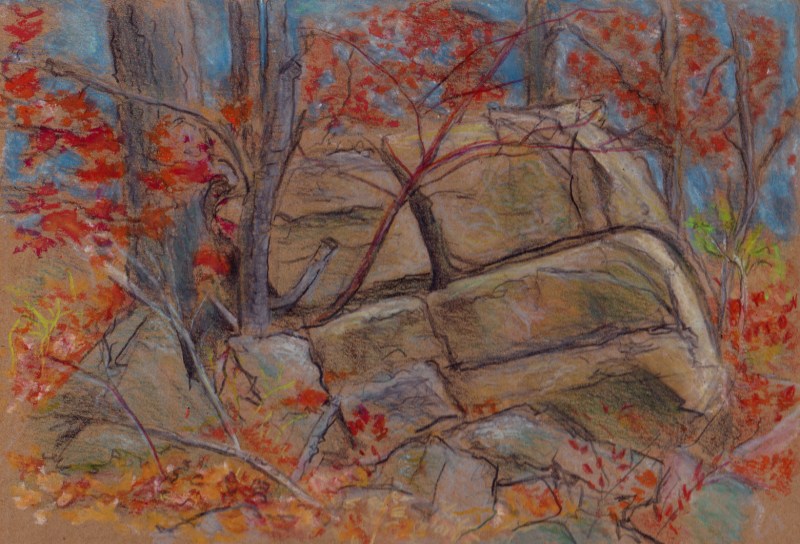 Larry Johnson artist, landscape drawing, stony brook reservation, oil pastel, colored pencil