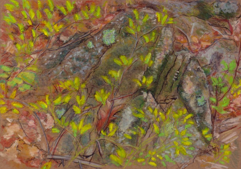 Larry Johnson artist, landscape drawing, stony brook reservation, oil pastel, colored pencil