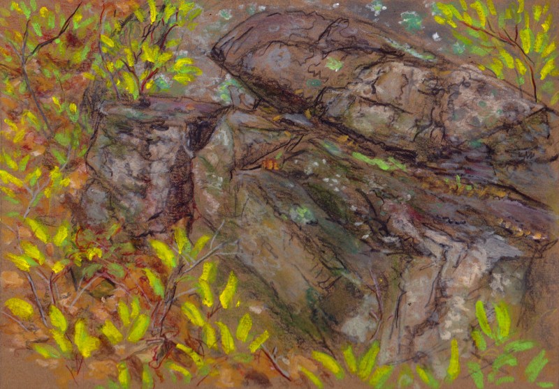 Larry Johnson artist, landscape drawing, stony brook reservation, oil pastel, colored pencil