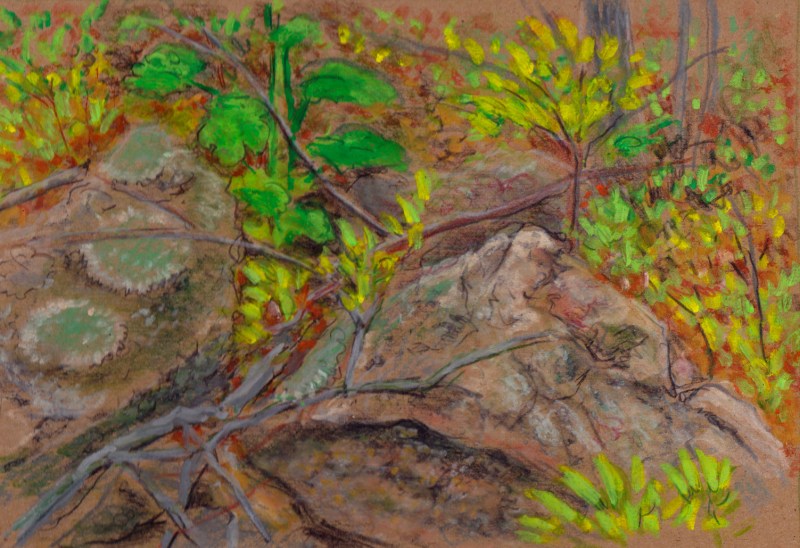 Larry Johnson artist, landscape drawing, stony brook reservation, oil pastel, colored pencil