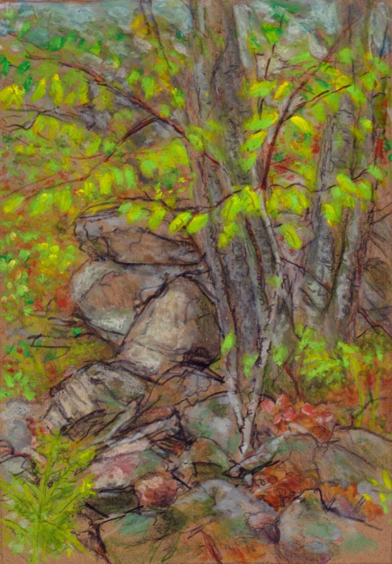 Larry Johnson artist, landscape drawing, stony brook reservation, oil pastel, colored pencil