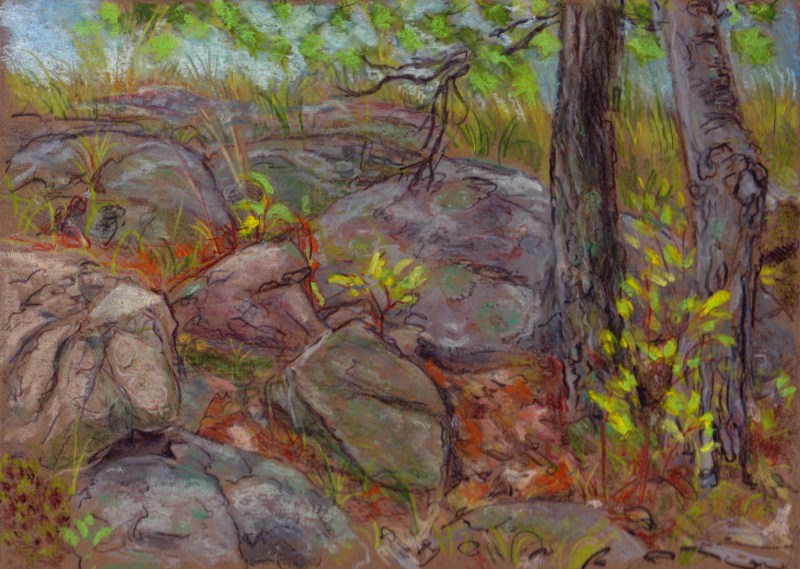 Larry Johnson artist, landscape drawing, stony brook reservation, oil pastel, colored pencil