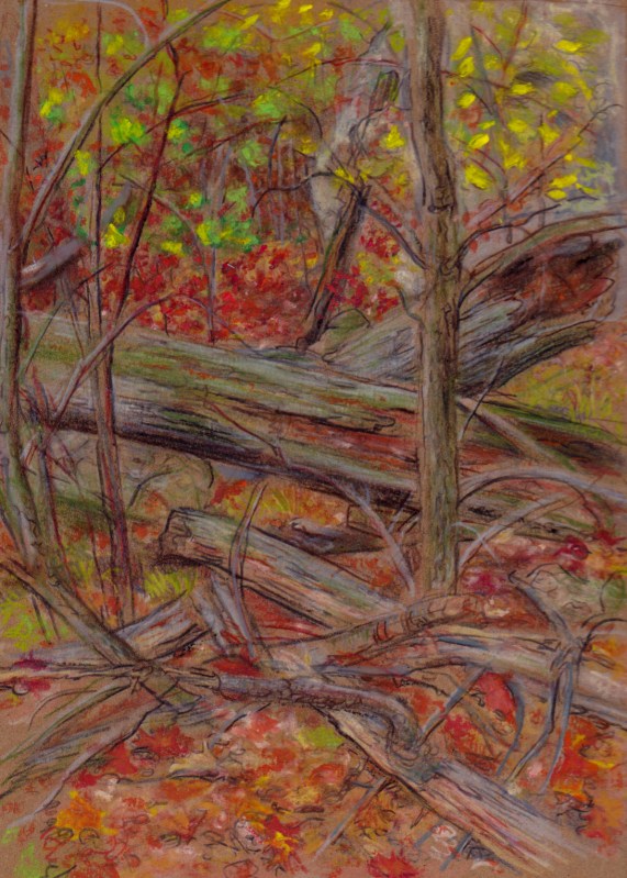 Larry Johnson artist, landscape drawing, stony brook reservation, oil pastel, colored pencil