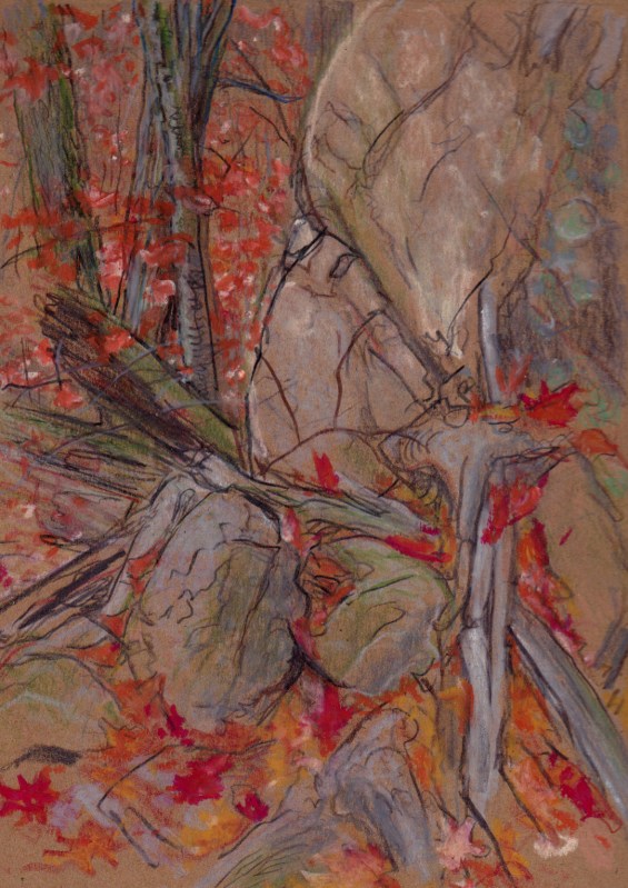 Larry Johnson artist, landscape drawing, stony brook reservation, oil pastel, colored pencil