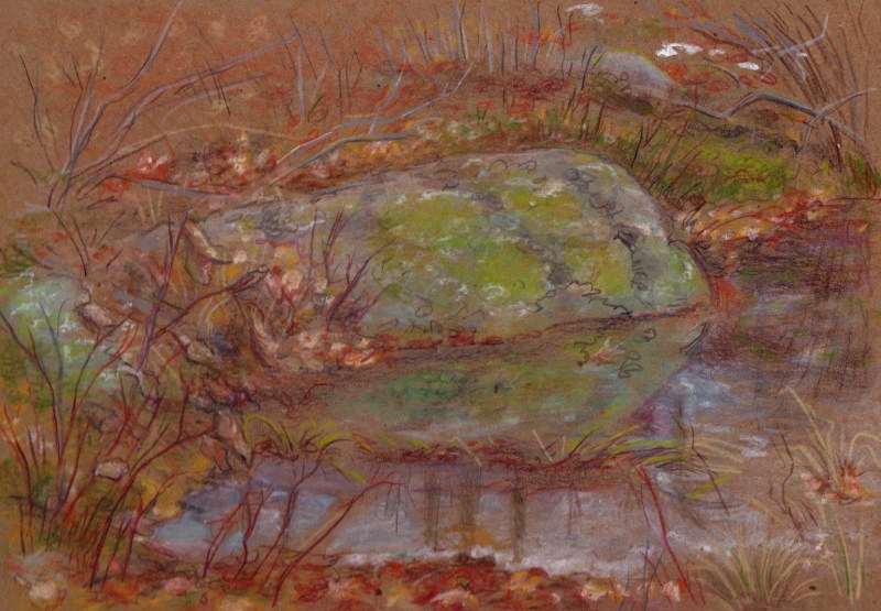Larry Johnson artist, landscape drawing, stony brook reservation, colored pencil