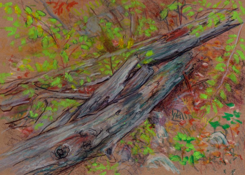 Larry Johnson artist, landscape drawing, stony brook reservation, colored pencil