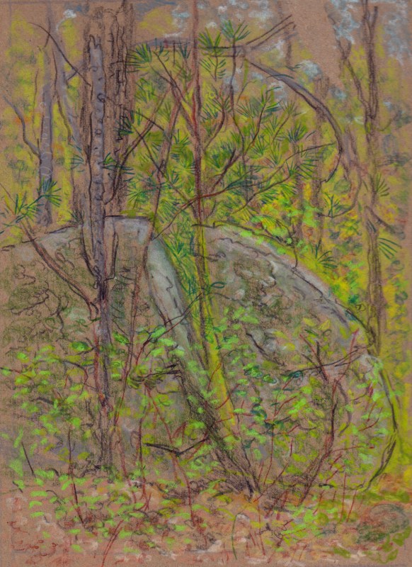 Larry Johnson artist, landscape drawing, stony brook reservation, oil pastel, colored pencil