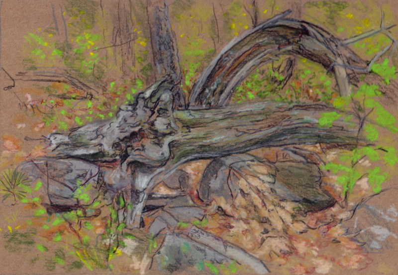 Larry Johnson artist, landscape drawing, stony brook reservation, oil pastel, colored pencil