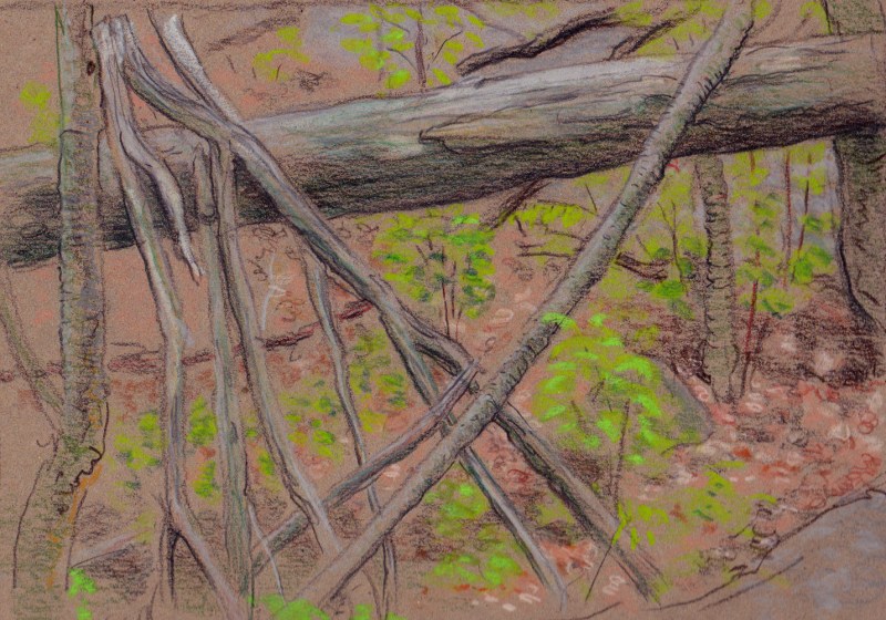 Larry Johnson artist, landscape drawing, stony brook reservation, oil pastel, colored pencil