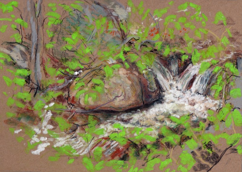 Larry Johnson artist, landscape drawing, stony brook reservation, oil pastel, colored pencil