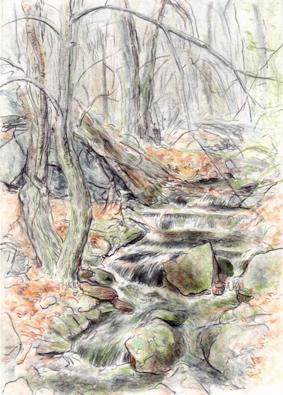 Larry Johnson artist, landscape drawing, stony brook reservation, colored pencil