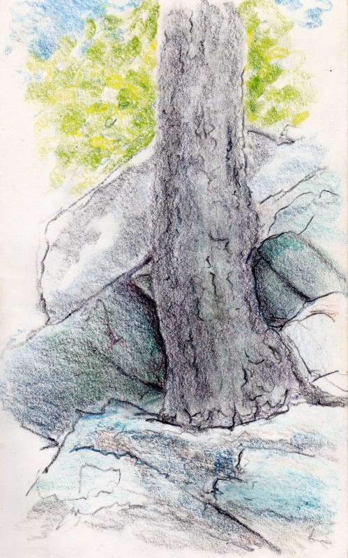 Larry Johnson artist, landscape drawing, stony brook reservation, colored pencil
