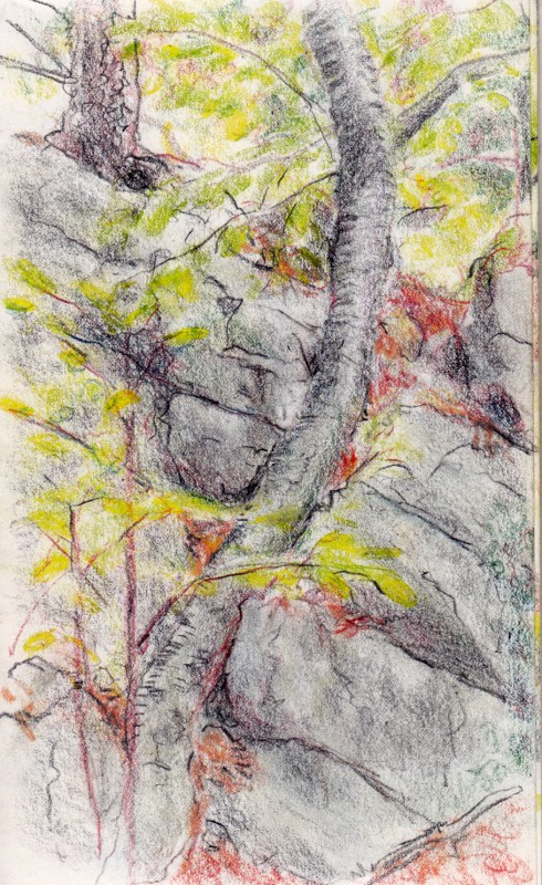 Larry Johnson artist, landscape drawing, stony brook reservation, colored pencil