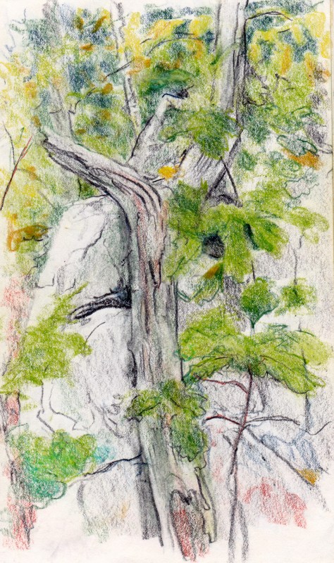 Larry Johnson artist, landscape drawing, stony brook reservation, colored pencil