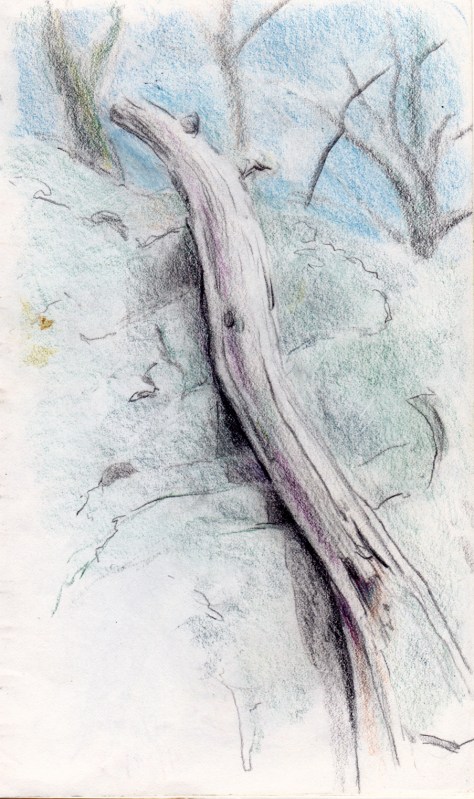 Larry Johnson artist, landscape drawing, stony brook reservation, colored pencil