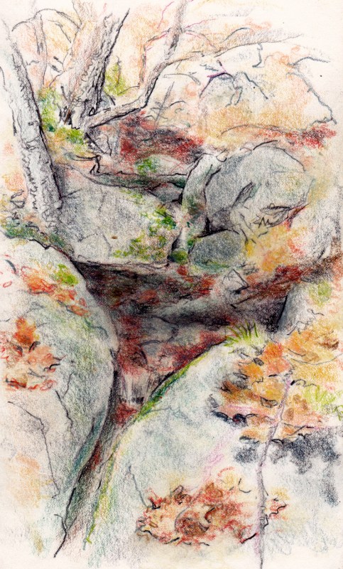 Larry Johnson artist, landscape drawing, stony brook reservation, colored pencil