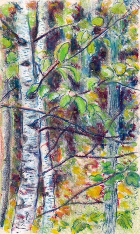 Larry Johnson artist, landscape drawing, stony brook reservation, colored pencil