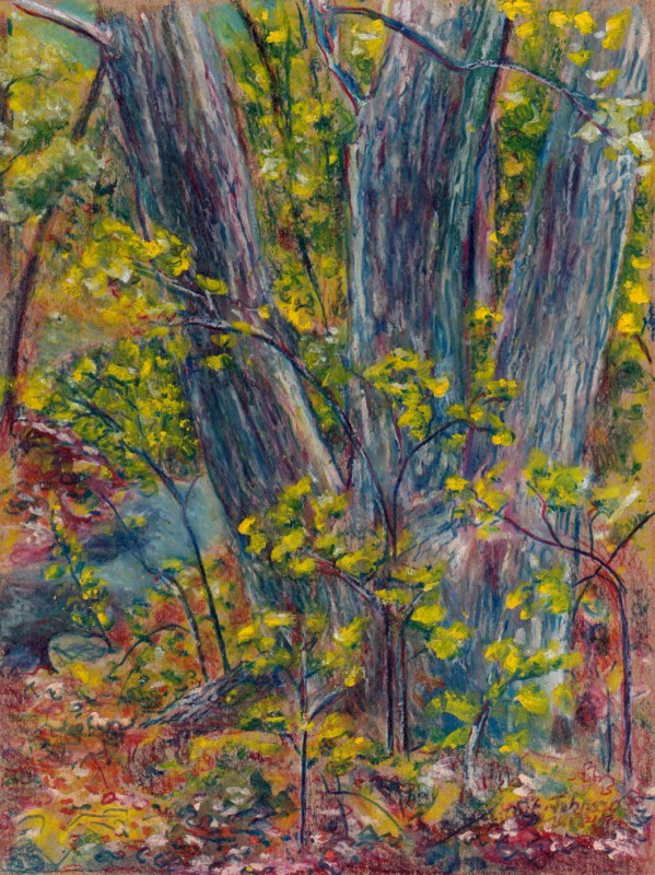 Larry Johnson artist, landscape drawing, stony brook reservation, colored pencil